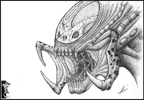 Image result for How to Draw the Predalien