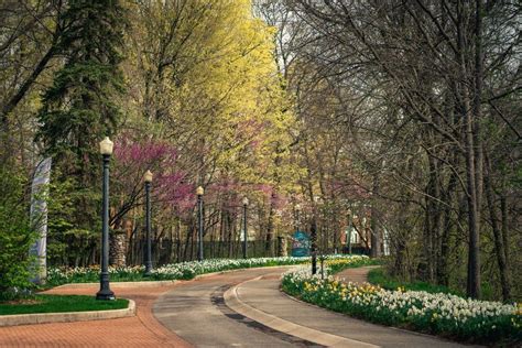 Run for the Trees: Happy Little Walk/Run 5K, 1200 N Minnetrista Pkwy ...