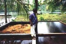 Central Coir Research Institute