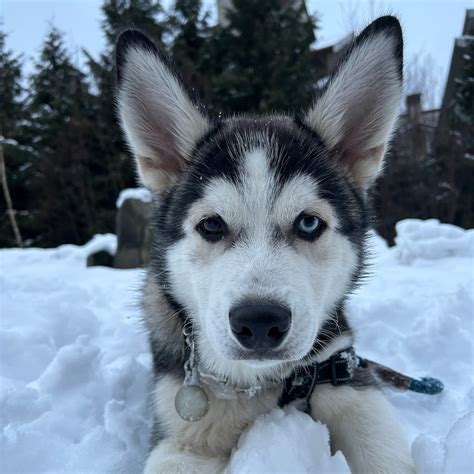 Image result for Luke Channel