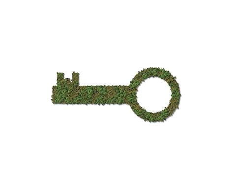 Image result for Green Keyframes