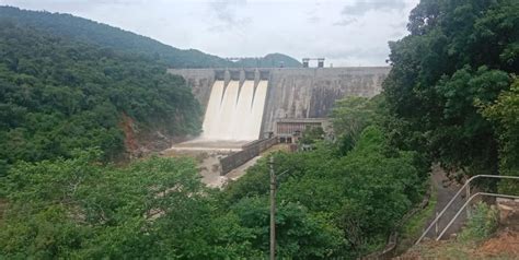 பில்லூர் அணை 3-வது முறையாக நிரம்பியது: உபரி நீர் பவானி ஆற்றில் ...