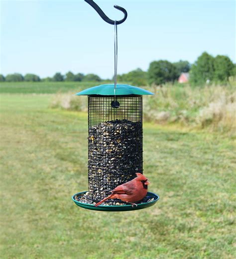 Mammoth Green Sunflower Seed Bird Feeder - Green | Plow & Hearth