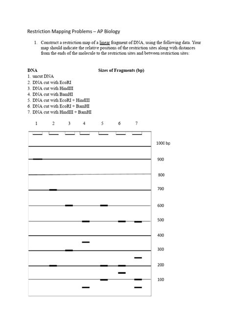 Restriction Mapping Problems | PDF