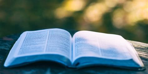 Image result for Holy Scriptures