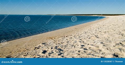 Image result for Shell Beach Wa