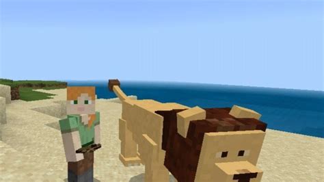 Image result for Cat Minecraft Mods