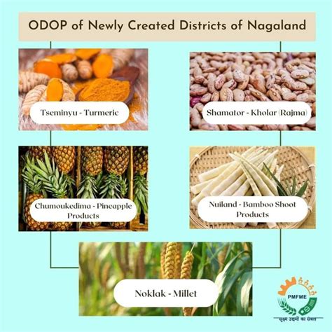 PM Formalisation of Micro food processing Enterprises Scheme ...