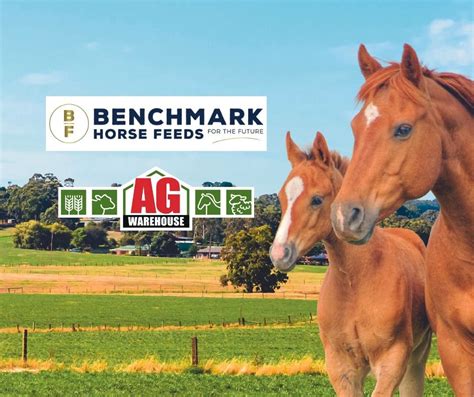 Benchmark Horsefeeds Instore Day, Shop 3, 183 Queen Street, Warragul ...