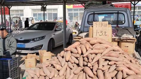 内蒙古包头早市大集，看今天蔬菜瓜果价格多少钱，土豆9毛一斤 - YouTube