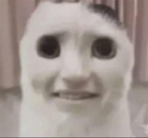 hot skibidi toilet r34 : r/skibiditoiletrule34