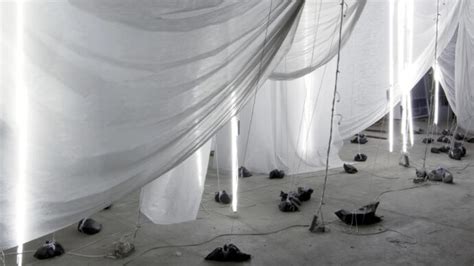 Carlito Carvalhosa | Meer