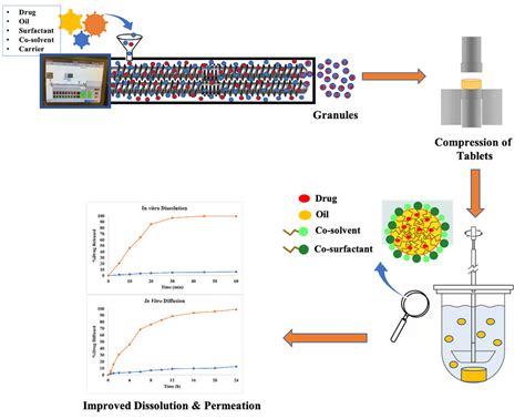 Twin Screw Melt Granulation: A Single Step Approach for Developing Self ...