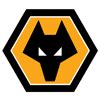 Latest football news | Wolves, West Brom, Walsall, Villa and more ...