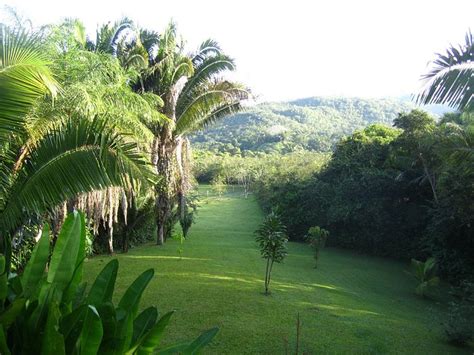 INN THE BUSH BELIZE (Macaw Bank) - Cottage Reviews & Photos - Tripadvisor