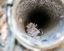 Image result for Dryer Vent Cleaning Whip