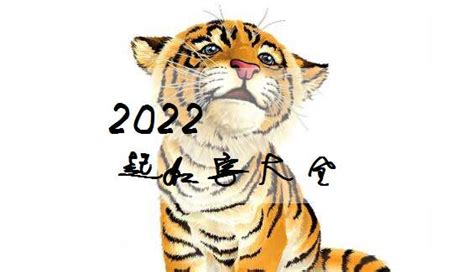 2022年虎宝宝起名注意事项-2022年虎宝宝起名缺什么 - 见闻坊