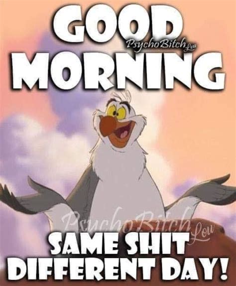 Good Afternoon Funny Humor