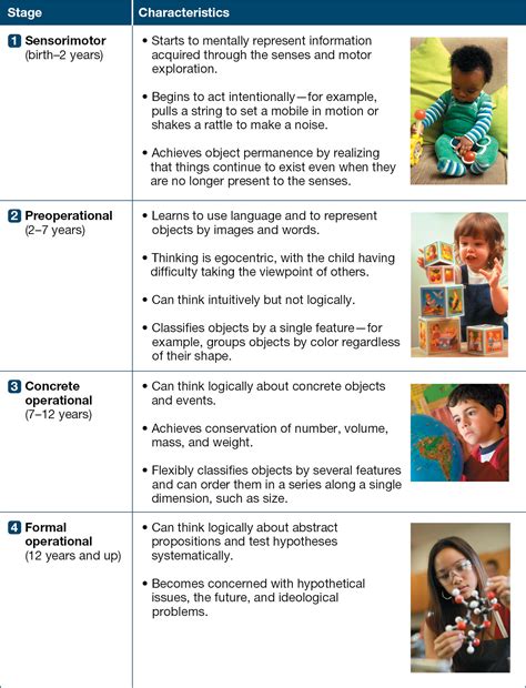 Child Development Stages Piaget