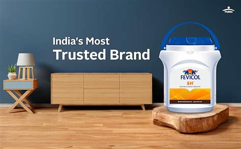 Fevicol SH, 1Kg - Ultimate woodworking adhesive | Easy to use | Durable ...
