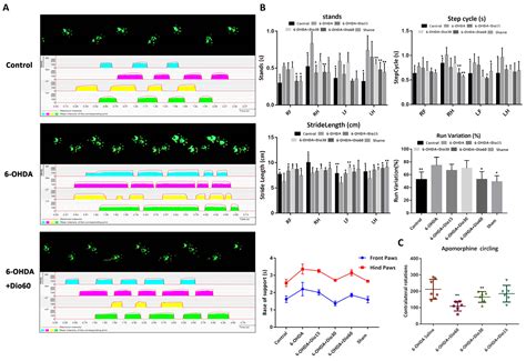 Neuroprotective Effect of Dioscin against Parkinson’s Disease via ...