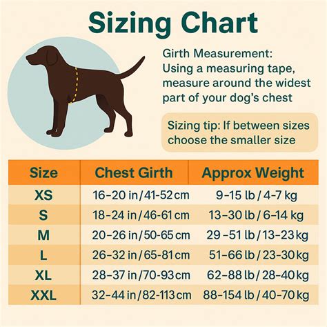 Sizing Your Dog Harness – Paws For Gifts