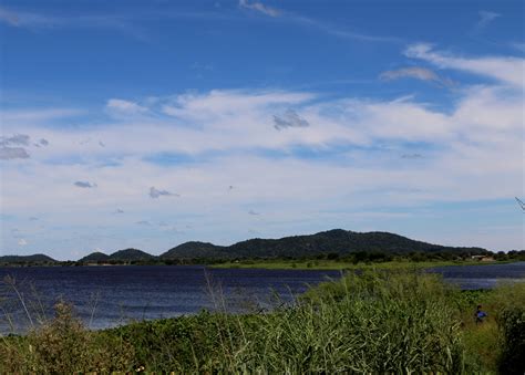 "La protección del medio ambiente refleja también la resistencia de los ...