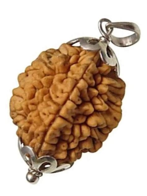 Exclusive Rudraksha Pendants for Serenity & Balance | Brahmatells ...