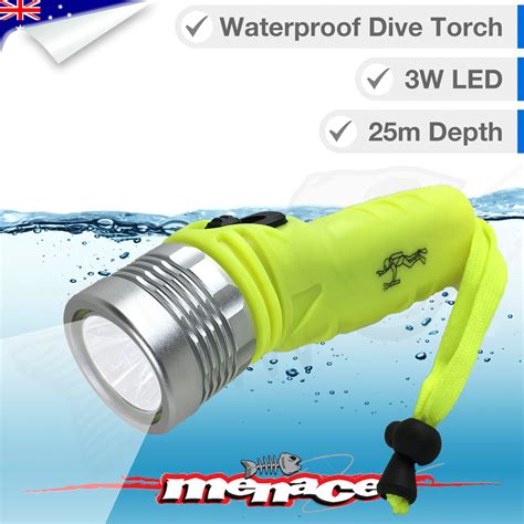 Image result for Diving Torch