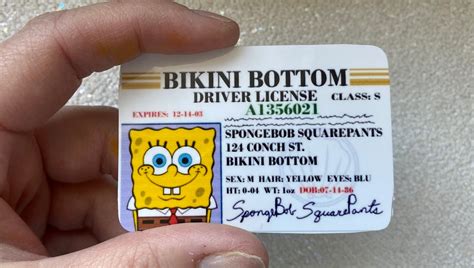 Spongebob Squarepants Drivers License - Etsy