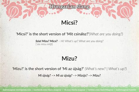 Image result for Magyar Language