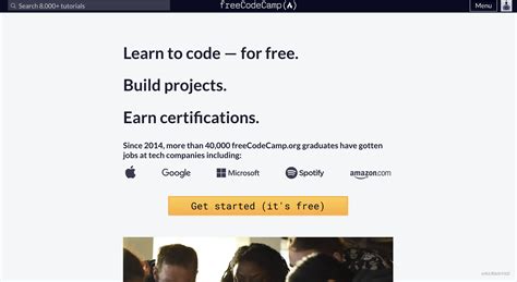 freeCodeCamp Tutorial 的图像结果
