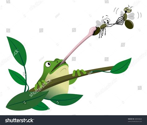 Image result for Help This Frog Fly