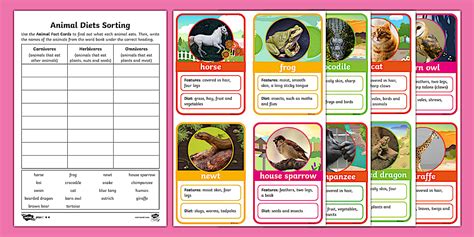 Y1 Animal Diets Sorting Activity Sheet