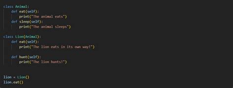 Image result for Method Overrding Python