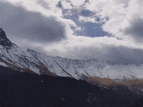 Snow disappears from Kedarnath and Badrinath, rare Himalayan herbs at risk