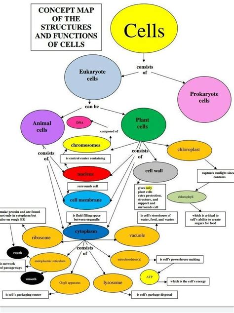 Make a concept map on cell and its parts. - Brainly.in