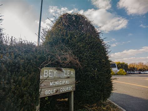 Liquor License Expanded at Bey Lea Golf Course, Drinks to be Sold ...