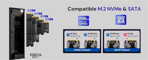 NVME M2 LED Enclosure, PiBOX India NVMe/NGFF SATA Dual SSD Enclosure ...