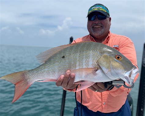 Shallow Water Mutton Snapper - Key West Fishing Charters Go With Capt ...