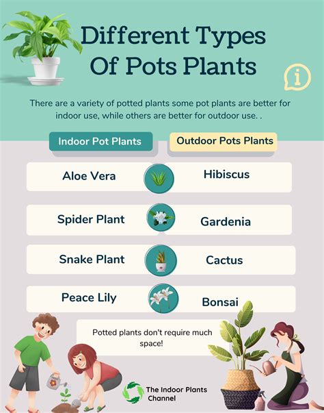 Types Of Pot Materials at Rodney Garcia blog