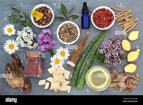 Natural Herbal Medicine 的图像结果