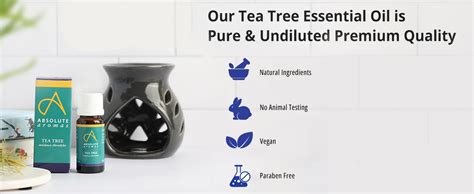 Absolute Aromas Tea Tree Essential Oil 10ml - 100% Pure, Natural ...