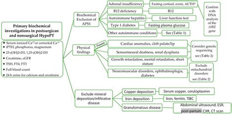 Hypoparathyroidism in Pregnancy and Lactation | Encyclopedia MDPI