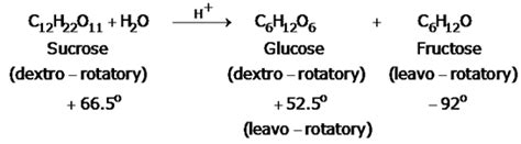 Hydrolysis of sucrose is called - Tardigrade