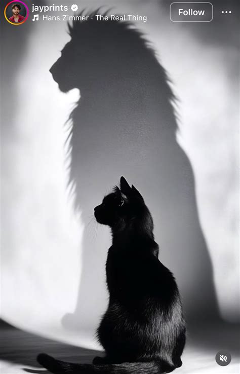 Bark box review is barkbox worth it – Artofit