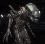 Image result for Alien Xenomorph Screech Sound Effect