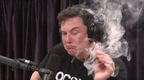 Elon Musk Is Back On Joe Rogan's Show And, Well, You Know How It Went ...