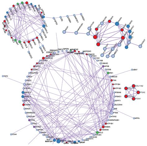 Prediction of Multiple Degenerative Diseases Based on DNA Methylation ...