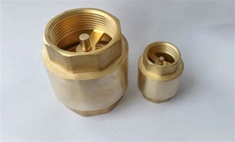 Valves - Brass Check Valve Nrv Manufacturer from Rajkot